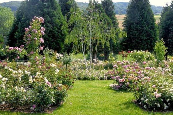باد بيلنغن Landhaus Ettenbuehl Bed And Breakfast المظهر الخارجي الصورة