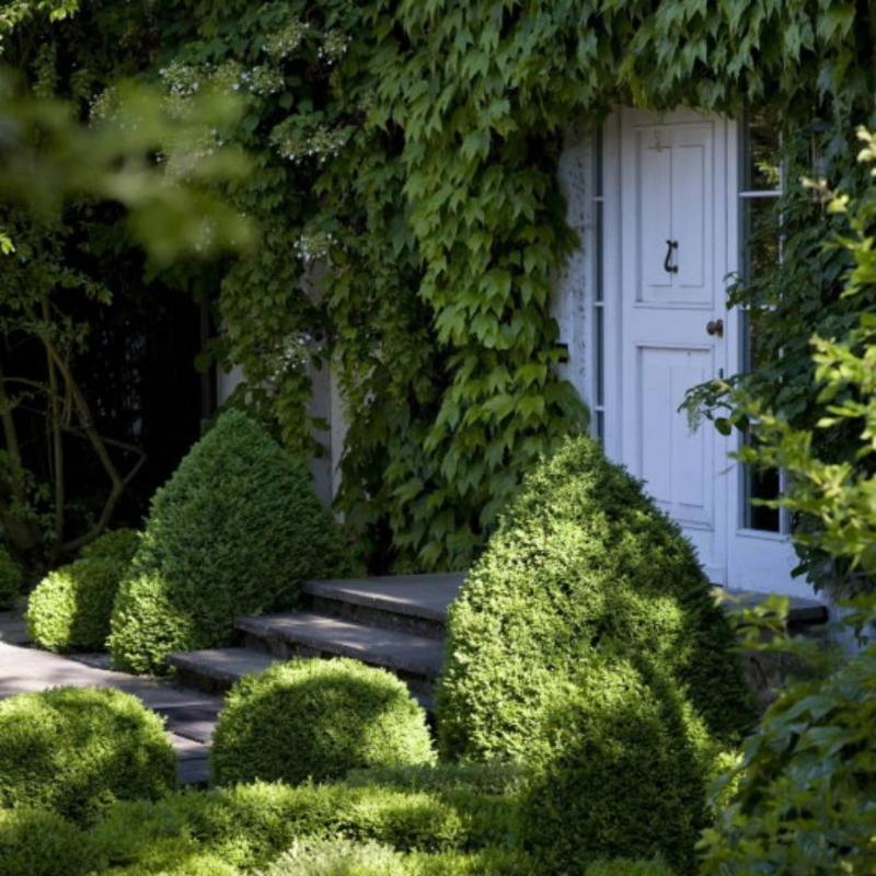 باد بيلنغن Landhaus Ettenbuehl Bed And Breakfast المظهر الخارجي الصورة