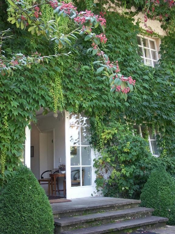 باد بيلنغن Landhaus Ettenbuehl Bed And Breakfast المظهر الخارجي الصورة