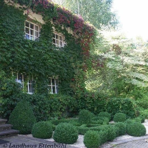 باد بيلنغن Landhaus Ettenbuehl Bed And Breakfast المظهر الخارجي الصورة